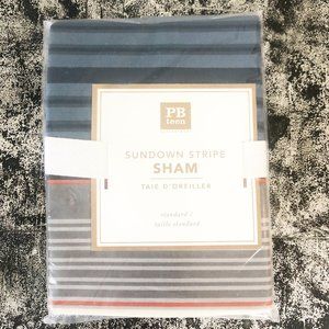 Two Pottery Barn Teen standard shams, NIB